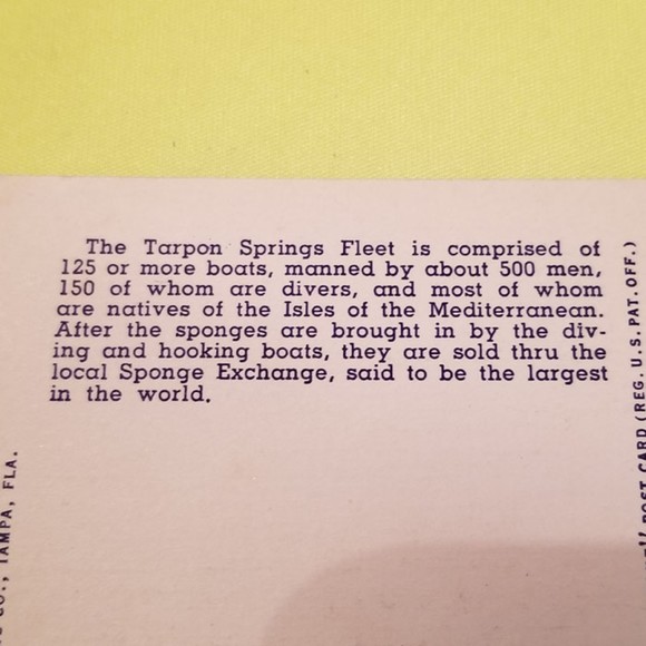 1950's Postcard TS33 Sponge Fleet in Harbor Florida - Picture 10 of 10